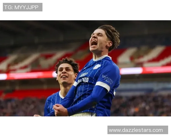 加的夫城与西汉姆联的精彩对决展现英超球队的实力与魅力